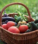 Garden Fertilizer